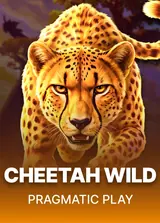 Cheetah Wild