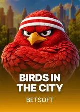 Birds in the City